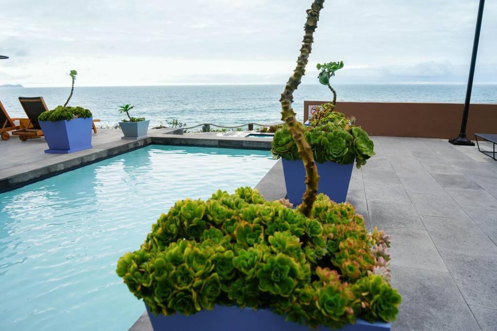 Hotel Suite Luxe Sunset Tijuana Bagian luar foto